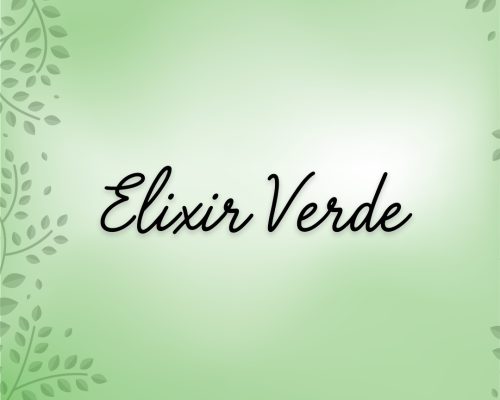 EV
